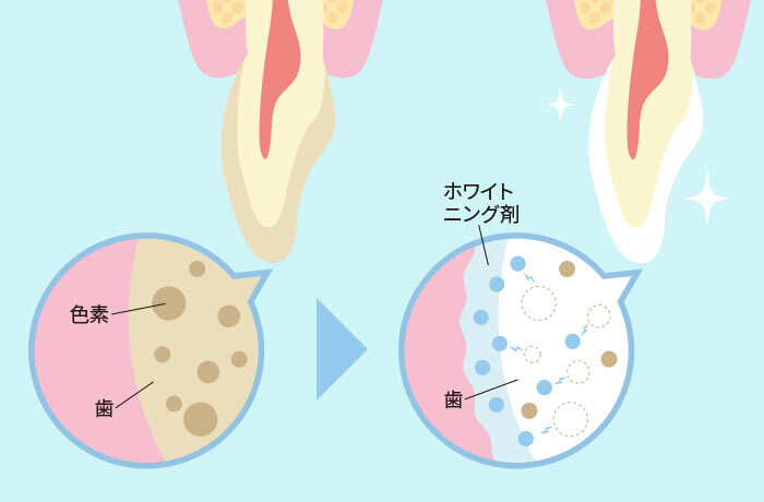 blog_250701_2_minorinodc