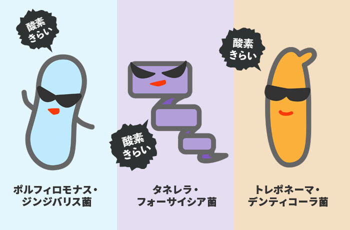 歯周病の原因となる代表的な嫌気性菌「P.g.菌、T.f.菌、T.d.菌」のイメージイラスト
